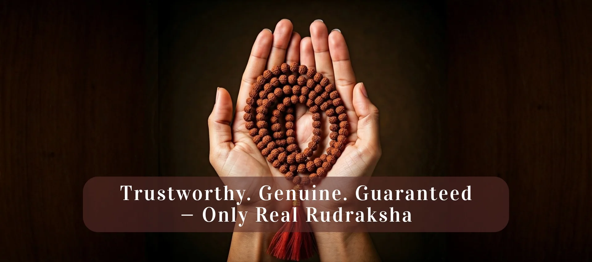 Certified and Authentic Rudraksha