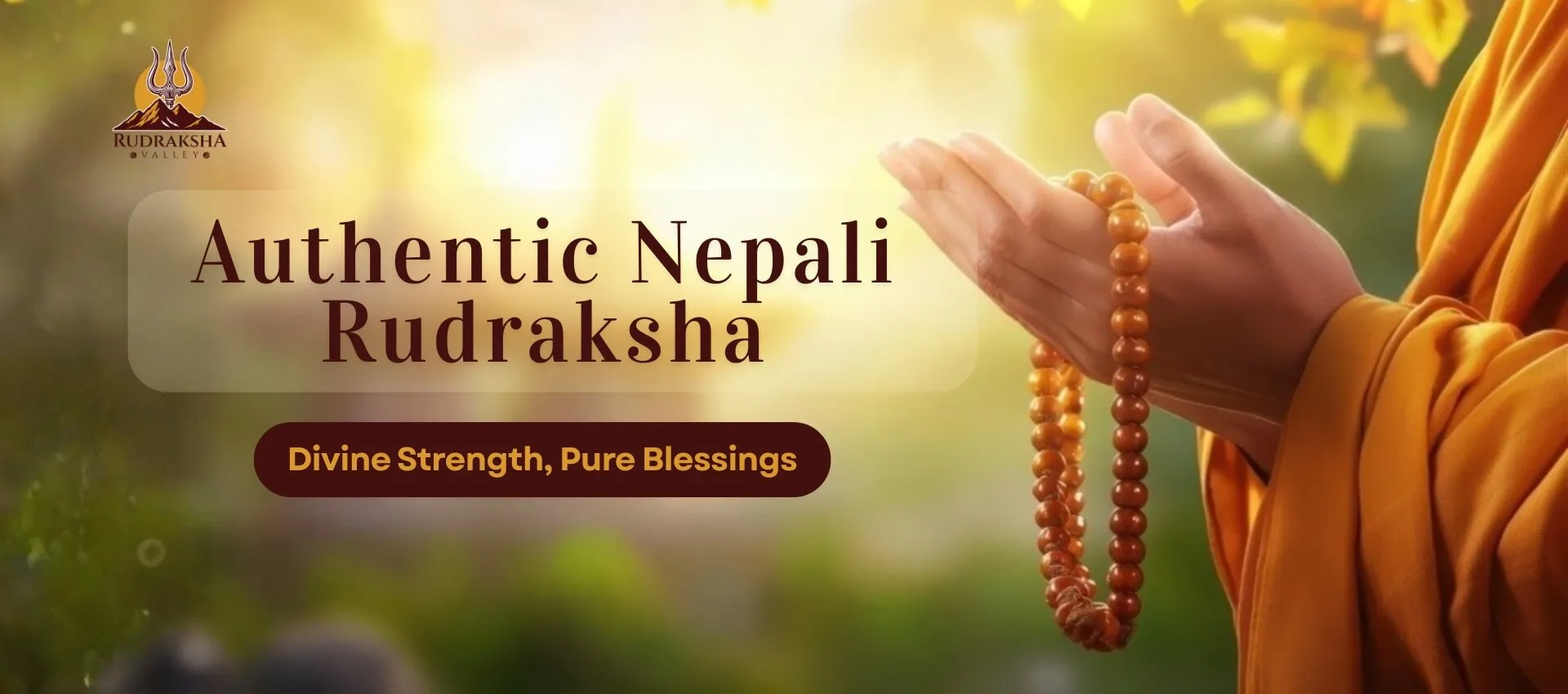 Nepali Rudraksha