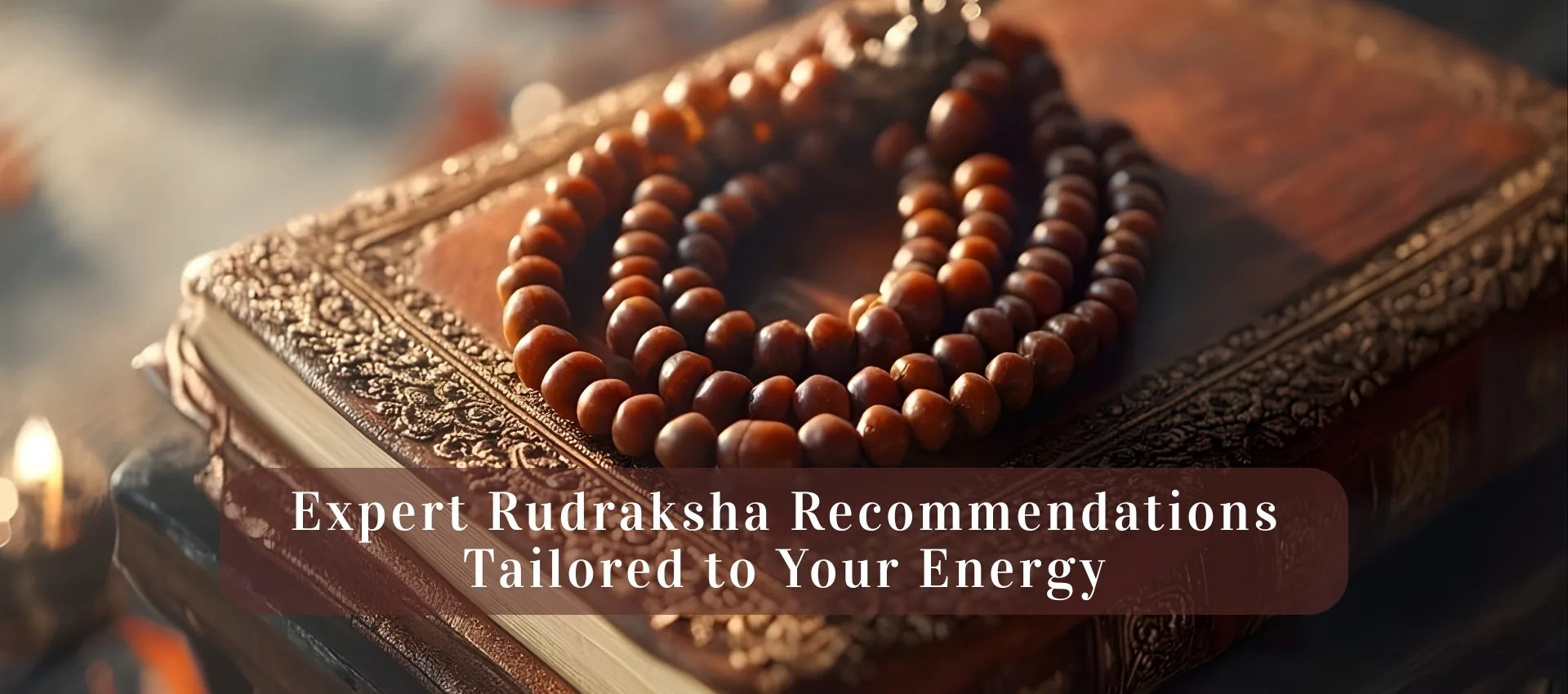 Rudraksha Consultancy